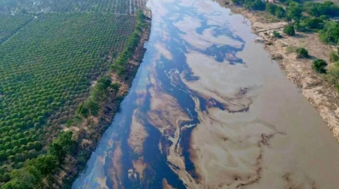 Veracruz, otra vez manchado: el derrame de petróleo que desnuda omisiones de la 4T